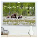 Tierische Begegnungen (hochwertiger Premium Wandkalender 2026 DIN A2 quer), Kunstdruck in Hochglanz