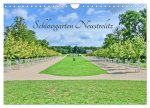 Schlossgarten Neustrelitz (Wandkalender 2026 DIN A4 quer), CALVENDO Monatskalender