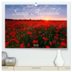 Sonnige Augenblicke (hochwertiger Premium Wandkalender 2026 DIN A2 quer), Kunstdruck in Hochglanz