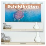 Schildkröten - Die gepanzerten Tiere. (hochwertiger Premium Wandkalender 2026 DIN A2 quer), Kunstdruck in Hochglanz
