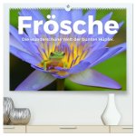 Frösche - Die wunderschöne Welt der bunten Hüpfer. (hochwertiger Premium Wandkalender 2026 DIN A2 quer), Kunstdruck in Hochglanz