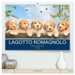 Lagotto Romagnolo - Bilder aus der Kinderstube (hochwertiger Premium Wandkalender 2026 DIN A2 quer), Kunstdruck in Hochglanz