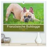 Französische Bulldogge - Kleine Helden auf vier Pfoten (hochwertiger Premium Wandkalender 2026 DIN A2 quer), Kunstdruck in Hochglanz