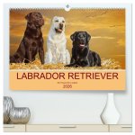 Labrador Retriever - Ein Freund für's Leben (hochwertiger Premium Wandkalender 2026 DIN A2 quer), Kunstdruck in Hochglanz