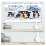 Berner Sennenhund - Ein Traum auf vier Pfoten (hochwertiger Premium Wandkalender 2026 DIN A2 quer), Kunstdruck in Hochglanz