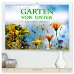 Garten von unten. Ein Perspektivwechsel (hochwertiger Premium Wandkalender 2026 DIN A2 quer), Kunstdruck in Hochglanz