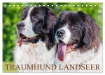 Traumhund Landseer (Tischkalender 2026 DIN A5 quer), CALVENDO Monatskalender