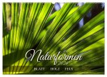 Naturformen, Blatt, Holz, Fels (Wandkalender 2026 DIN A2 quer), CALVENDO Monatskalender