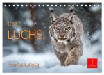 Der Luchs - scheuer Jäger (Tischkalender 2026 DIN A5 quer), CALVENDO Monatskalender