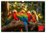 Papageien - Ara (Wandkalender 2026 DIN A3 quer), CALVENDO Monatskalender