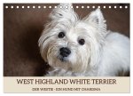 WEST HIGHLAND WHITE TERRIER - DER WESTIE - EIN HUND MIT CHARISMA (Tischkalender 2026 DIN A5 quer), CALVENDO Monatskalender