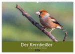 Der Kernbeißer und seine gefiederten Gesellen (Wandkalender 2026 DIN A2 quer), CALVENDO Monatskalender
