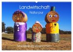 Landwirtschaft Natur pur Mecklenburg-Vorpommern (Wandkalender 2026 DIN A2 quer), CALVENDO Monatskalender