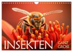 Insekten ganz gross (Wandkalender 2026 DIN A4 quer), CALVENDO Monatskalender