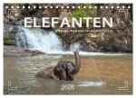 Elefanten - Baden, Planschen, Rüsseln (Tischkalender 2026 DIN A5 quer), CALVENDO Monatskalender