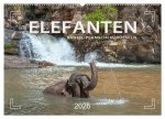 Elefanten - Baden, Planschen, Rüsseln (Wandkalender 2026 DIN A2 quer), CALVENDO Monatskalender