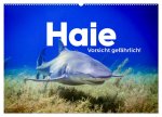 Haie - Vorsicht gefährlich! (Wandkalender 2026 DIN A2 quer), CALVENDO Monatskalender