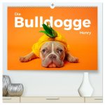 Die Bulldogge Henry (hochwertiger Premium Wandkalender 2026 DIN A2 quer), Kunstdruck in Hochglanz
