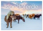 Islandpferde - Die süßen Pferde im Norden. (Wandkalender 2026 DIN A3 quer), CALVENDO Monatskalender