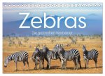 Zebras - Die gestreiften Vierbeiner. (Tischkalender 2026 DIN A5 quer), CALVENDO Monatskalender