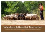 Wanderschäferei ist Teamarbeit (Wandkalender 2026 DIN A4 quer), CALVENDO Monatskalender