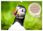 Die Welt der Papageientaucher - Islands Wildvögel (Wandkalender 2026 DIN A3 quer), CALVENDO Monatskalender