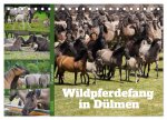 Faszination Wildpferdefang in Dülmen (Tischkalender 2026 DIN A5 quer), CALVENDO Monatskalender