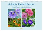 Geliebte Kletterkünstler (Wandkalender 2026 DIN A4 quer), CALVENDO Monatskalender