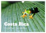 Costa Rica - Tierwelt und Landschaften (Wandkalender 2026 DIN A4 quer), CALVENDO Monatskalender