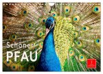 Schöner Pfau (Wandkalender 2026 DIN A4 quer), CALVENDO Monatskalender