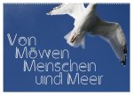 Von Möwen, Menschen und Meer (Wandkalender 2026 DIN A2 quer), CALVENDO Monatskalender