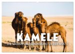 Kamele - die wahren Überlebenskünstler der Wüste. (Wandkalender 2026 DIN A2 quer), CALVENDO Monatskalender