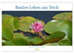 Buntes Leben am Teich (Wandkalender 2026 DIN A3 quer), CALVENDO Monatskalender
