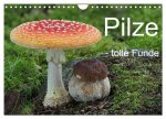 Pilze - tolle Funde (Wandkalender 2026 DIN A4 quer), CALVENDO Monatskalender