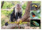 Costa Rica - Tropische Tierwelt (Wandkalender 2026 DIN A4 quer), CALVENDO Monatskalender