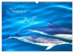 Natürlich Delfine (Wandkalender 2026 DIN A3 quer), CALVENDO Monatskalender
