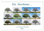 Ein Nussbaum von Januar bis Dezember (Wandkalender 2026 DIN A4 quer), CALVENDO Monatskalender