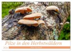 Pilze in den Herbstwäldern (Wandkalender 2026 DIN A4 quer), CALVENDO Monatskalender