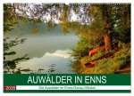 Auwälder bei Enns (Wandkalender 2026 DIN A2 quer), CALVENDO Monatskalender
