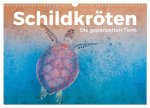 Schildkröten - Die gepanzerten Tiere. (Wandkalender 2026 DIN A3 quer), CALVENDO Monatskalender