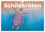 Schildkröten - Die gepanzerten Tiere. (Wandkalender 2026 DIN A4 quer), CALVENDO Monatskalender