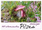 Mit interessanten Pilzen durchs Jahr (Wandkalender 2026 DIN A3 quer), CALVENDO Monatskalender