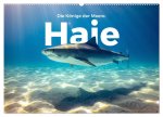 Haie - Könige der Meere. (Wandkalender 2026 DIN A2 quer), CALVENDO Monatskalender