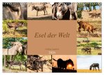 Esel der Welt - Lieblings Langohren (Wandkalender 2026 DIN A3 quer), CALVENDO Monatskalender