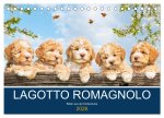 Lagotto Romagnolo - Bilder aus der Kinderstube (Tischkalender 2026 DIN A5 quer), CALVENDO Monatskalender