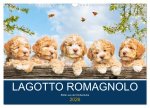 Lagotto Romagnolo - Bilder aus der Kinderstube (Wandkalender 2026 DIN A3 quer), CALVENDO Monatskalender