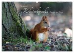 Bewohner des Rebstockparks Frankfurt am Main (Wandkalender 2026 DIN A2 quer), CALVENDO Monatskalender