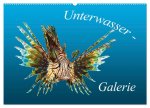 Unterwasser-Galerie (Wandkalender 2026 DIN A2 quer), CALVENDO Monatskalender