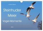 Steinhuder Meer, Vogel-Momente (Wandkalender 2026 DIN A4 quer), CALVENDO Monatskalender