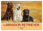 Labrador Retriever - Ein Freund für's Leben (Tischkalender 2026 DIN A5 quer), CALVENDO Monatskalender